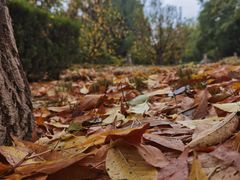 -元大都城垣遗址公园