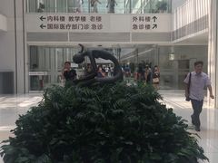 -北京协和医院(东单院区)