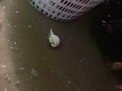 -六鳌翡翠湾滨海度假景区