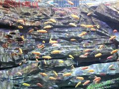 -多彩贵州城极地海洋世界