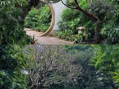 -广州兰圃