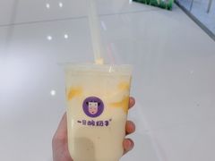 -一只酸奶牛(双流万达广场店)