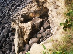 -硇洲岛旅游区