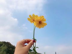 -南京市无想山景区