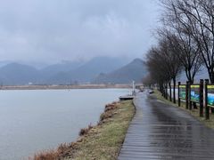 -大九湖