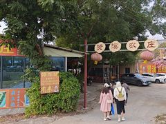 -贤鲁岛贤溪农庄