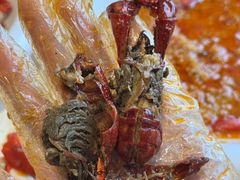 -五七小李子油焖大虾(总店)