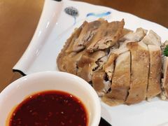 -古蔺郑胖娃(泸州总店)