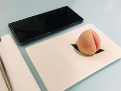 -青山研究所Aoyama Lab