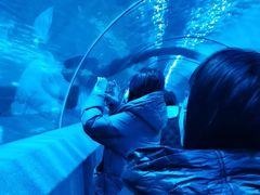 -秦皇岛新澳海底世界