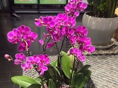 -黔蘑菇四季餐厅(观山湖店)