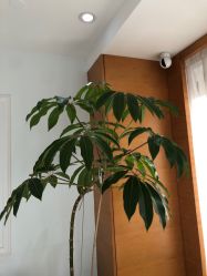 -HEYAN荷妍专业脱毛连锁机构