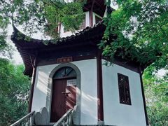 -上海佘山国家森林公园天马山园