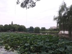 -绍兴鉴湖君澜大酒店