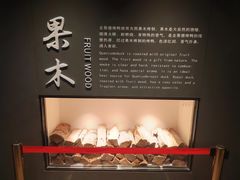 -北京全聚德(王府井店)