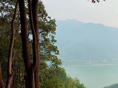 -羚羊峡古栈道森林公园