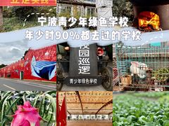 -宁波市青少年绿色学校