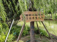 -盐池神庙