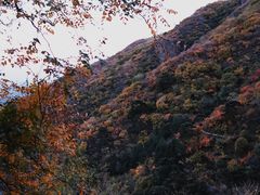 -香山公园
