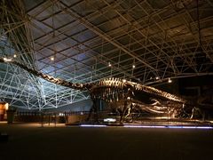 -世界恐龙谷景区