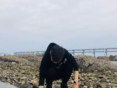-黑石礁公园