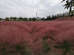 -嘉北郊野公园