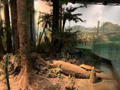 -浙江自然博物院(杭州馆)