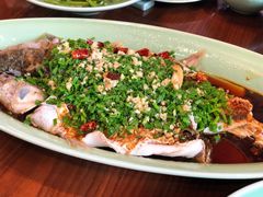 -虎哥私房菜(馒头山店)