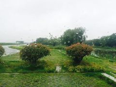 -梁鸿国家湿地公园