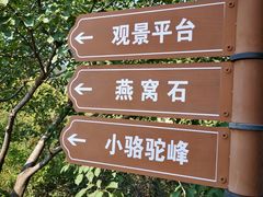 -大岭沟猕猴桃谷风景区