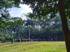 -南宁良凤江国家森林公园