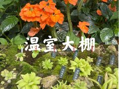 -国家植物园南园