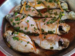 清蒸南仓鱼-胜海大排档·海鲜·黄鳝饭(十年老店)