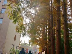 -复旦大学光华楼