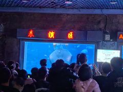 -太平洋海底世界