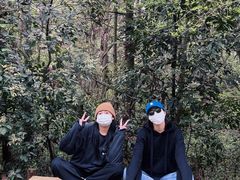 -青龙山国家森林公园