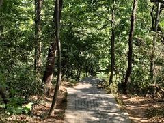 -紫金山山顶公园