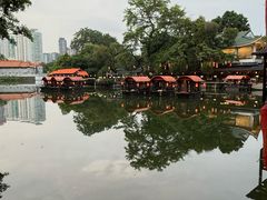 -侨美·唐荔园·40年地道粤菜