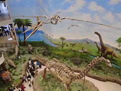 -辽宁古生物博物馆