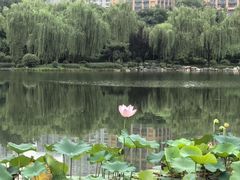 -木塔寺遗址生态公园