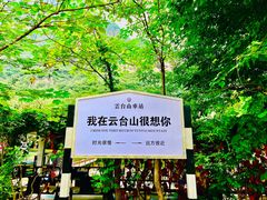 -云台山风景名胜区