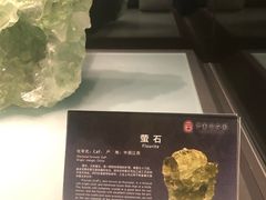 -中华赏石园