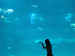 -福州罗源湾海洋世界旅游区