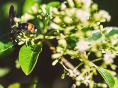 -龙坑生态保护区