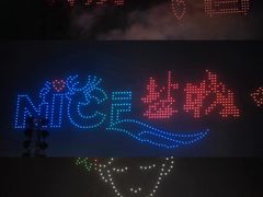-荷兰花海