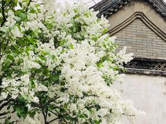 -颐和园