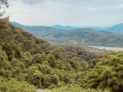 -广州市帽峰山景区