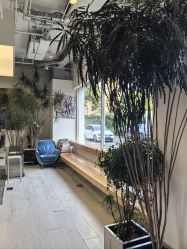 -Hair  Gallery