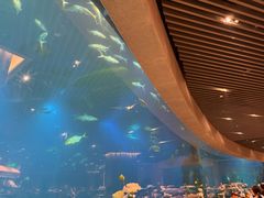 -涛·海底餐厅·美人鱼·自助餐·海底隧道(三亚海棠湾洲际度假酒店)