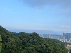 -福道